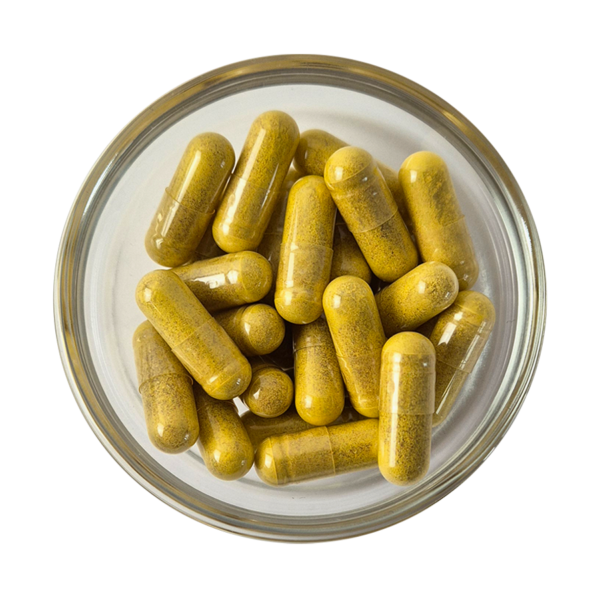 LXR Vas +Folát Retard Komplex